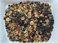 Huge Lot of Vegetable Ivory Buttons