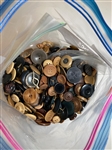 Huge Lot of Vegetable Ivory Buttons