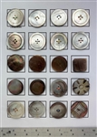 Shell Buttons