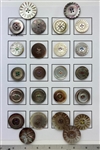 Shell Buttons