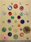Shell Buttons