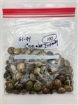 Civil War Infantry Buttons