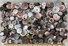 Shell Buttons