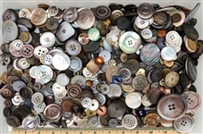 Shell Buttons