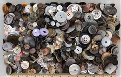 Shell Buttons