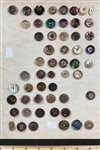 Shell Buttons