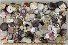 Shell Buttons