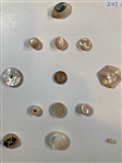 Shell Buttons