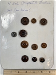 Vegetable Ivory Buttons