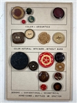 Vegetable Ivory Buttons