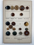 Vegetable Ivory Buttons