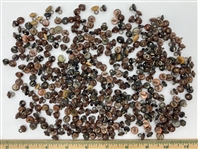 Shoe Buttons