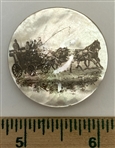 Coachman