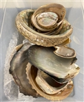 Abalone