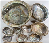 Abalone