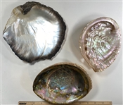 Abalone