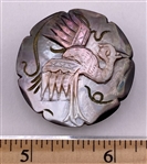Carved Shell