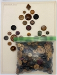 Vegetable Ivory Buttons
