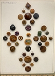 Vegetable Ivory Buttons