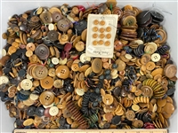Vegetable Ivory