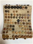 Tagua Nut Button Salesman Sampler