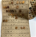 Tagua Nut Button Salesman Sampler