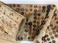 Tagua Nut Button Salesman Sampler