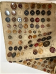 Tagua Nut Button Salesman Sampler