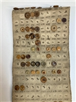 Tagua Nut Button Salesman Sampler