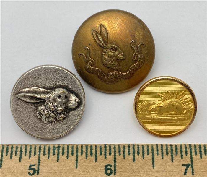 Rabbits