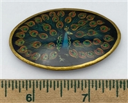 Oval Peacock