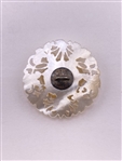 Pierced Shell