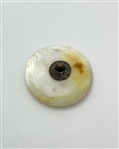 18th Century Shell