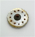 18th Century Shell