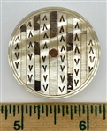 18th Century Pin Shank Shell 