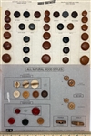 Sample Cards