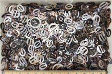 Shell Slides
