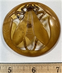 Big Bug