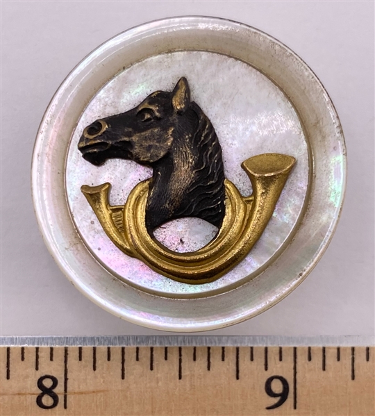 Horse Head and Horn on Shell