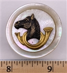 Horse Head and Horn on Shell