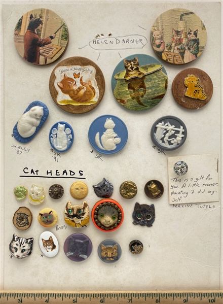 Cats