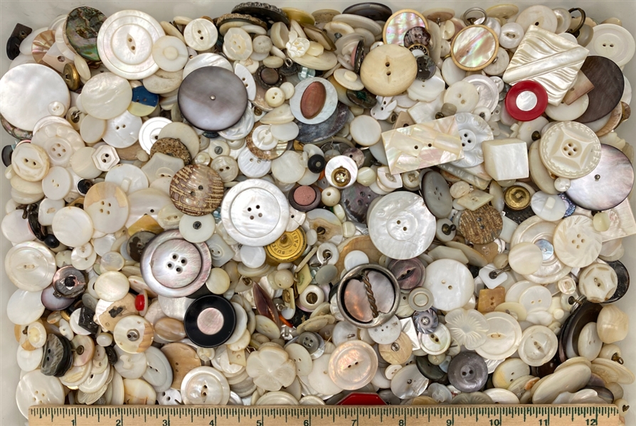 Large Bag  Lot