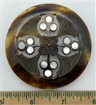 Shell in Horn