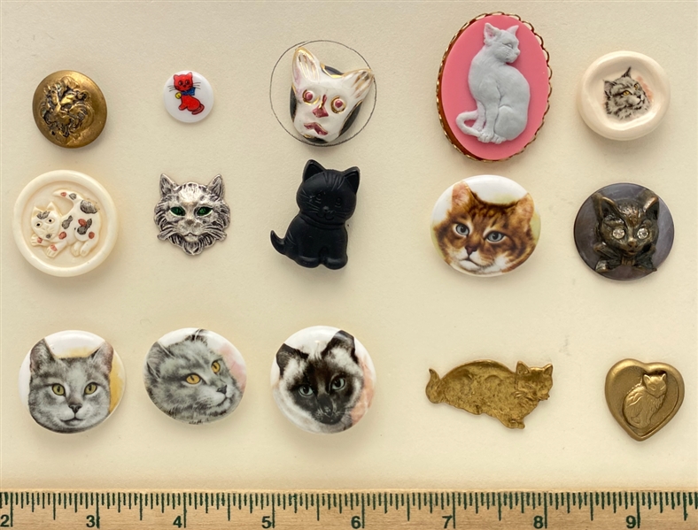 Cats