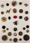 Insects
