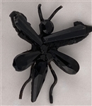 Insects