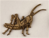 Insects