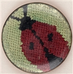 Insects
