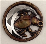 Insects
