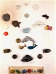 Sea Life